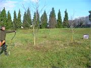 Nagykanizsa 2010.11.14 042